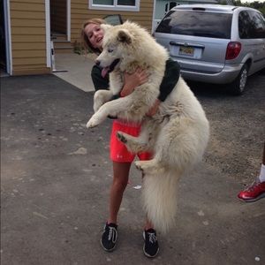 Meet your Posher, Joelle